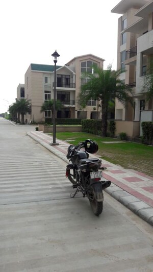 Master Bedroom in 3 BHK Builder Floor at Mullanpur – for Sale
