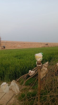 Plot For Sale in Ireo Skyon