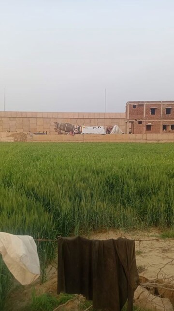  Plot For Sale in Brahma City, Sector 60