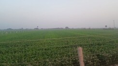 Plot For Sale in Mahira Bazaar 63A