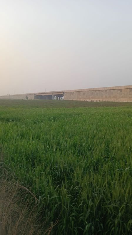 Plot For Sale in Mahira Bazaar 63A