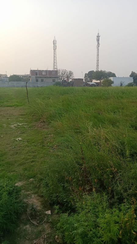Plot For Sale in Elan Next