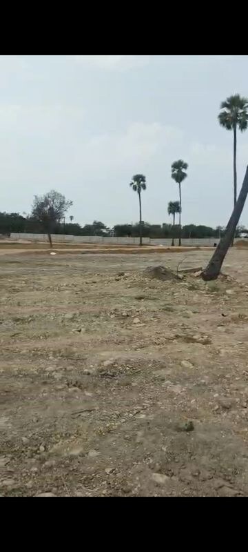Plot Area in  Plot at Narsampally – for Sale