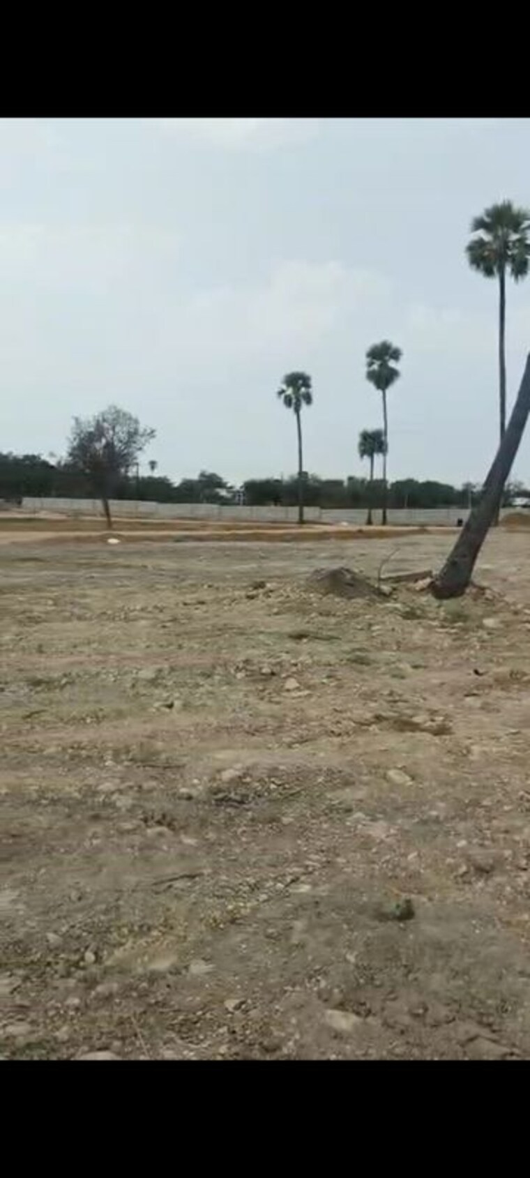 undefined, narsampally  167 Sq.Yd. Plot In Narsampally Hyderabad 10049396