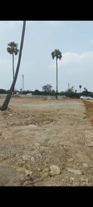 Plot Area in  Plot at Narsampally – for Sale