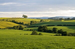  Plot For Sale in Tarc Kailasa, Kirti Nagar