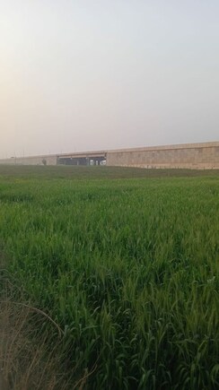 Plot For Sale in Elan Next