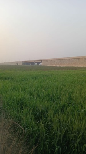  Plot For Sale in Elan Next, Sector 67