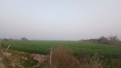Plot For Sale in Pyramid Square 67A