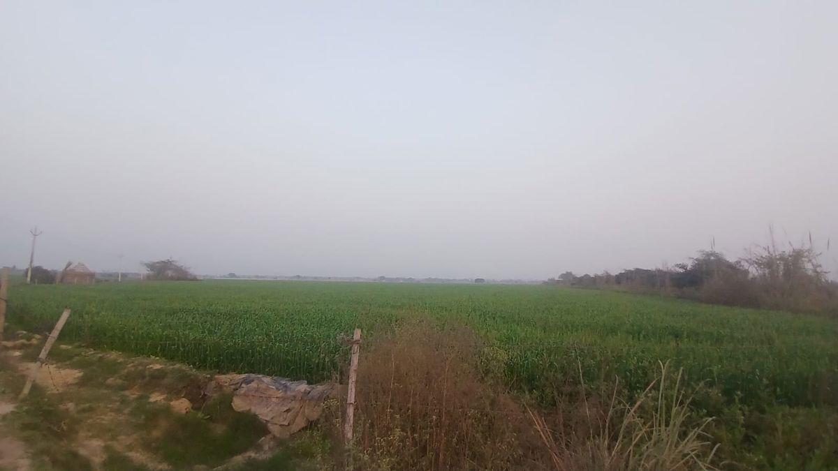 Plot For Sale in Pyramid Square 67A