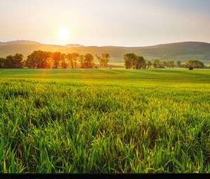  Plot For Sale in Tarc Kailasa, Kirti Nagar