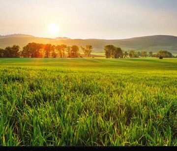  Plot For Sale in Tarc Kailasa, Kirti Nagar