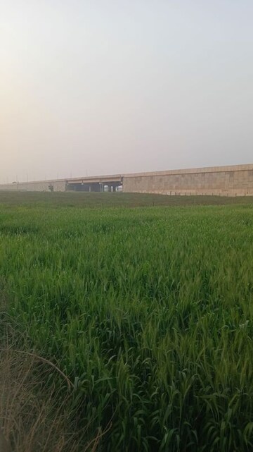  Plot For Sale in Tarc Kailasa, Kirti Nagar