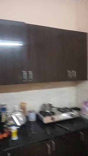 Living Room in 2 BHK Builder Floor at Lajpat Nagar ii – for Rent