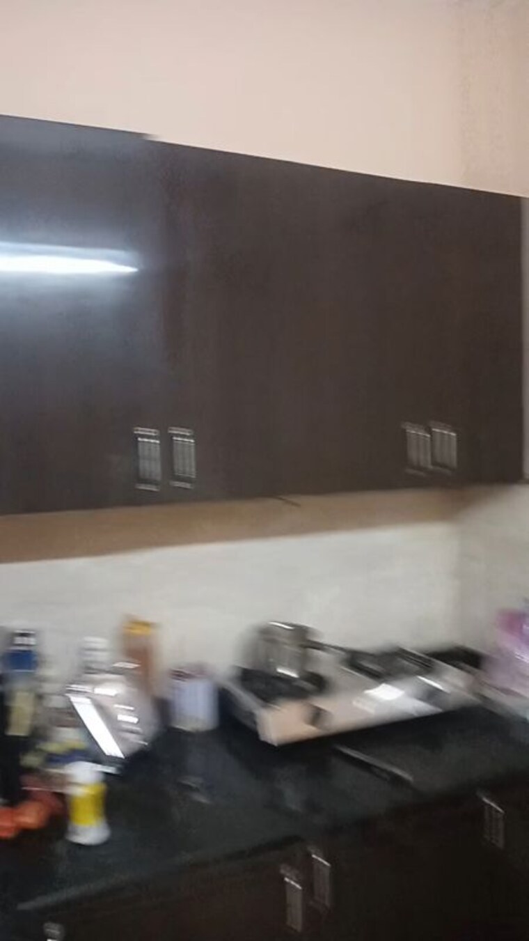 Living Room, lajpat nagar ii 1 Bedroom 600 Sq.Ft. Builder Floor In Lajpat Nagar ii Delhi 10049540