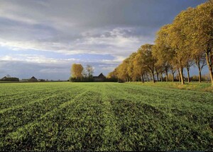  Plot For Sale in Tarc Kailasa, Kirti Nagar