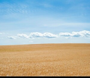  Plot For Sale in DLF Queens Court, Greater Kailash ii