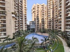 3 BHK Apartment For Rent in JM Florence