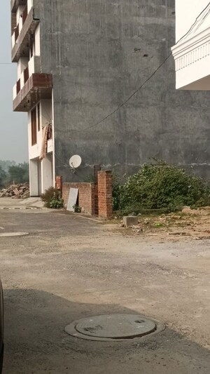  Plot For Rent in Mandi