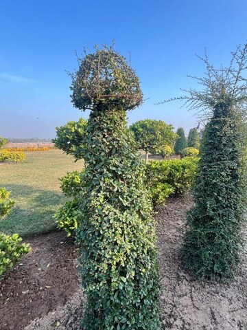  Plot – Garden View at Kurali - for Sale