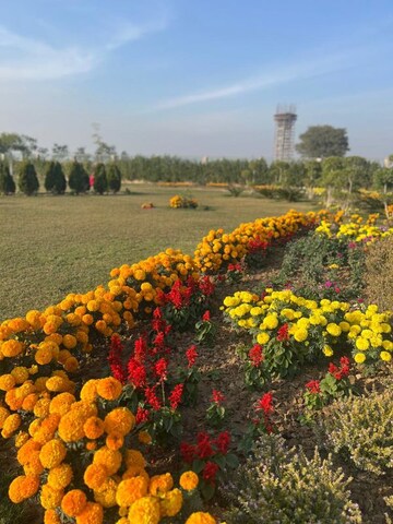  Plot – Garden View at Kurali - for Sale