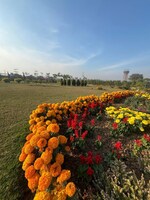 100 Sq.Yd. Plot in Kurali