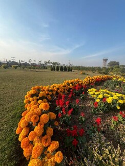 Plot For Sale in Kurali