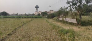 Plot Area in  Plot at Omaxe New Chandigarh, North Mullanpur – for Sale