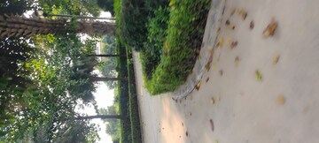  Plot – Garden View at Omaxe New Chandigarh, North Mullanpur - for Sale