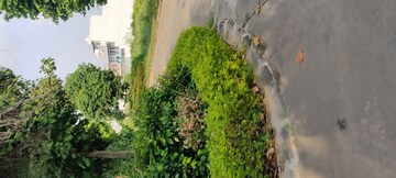  Plot – Garden View at Omaxe Lake, North Mullanpur - for Sale