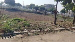Plot Area in  Plot at Altus Prime, North Mullanpur – for Sale