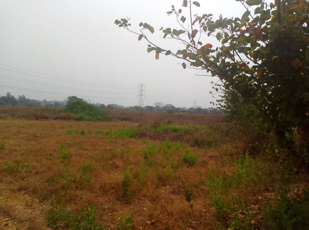 Plot For Sale in Koproli