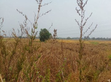 Plot Area in  Land at Jasai – for Sale