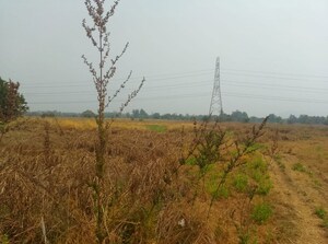 Plot Area in  Land at Jasai – for Sale