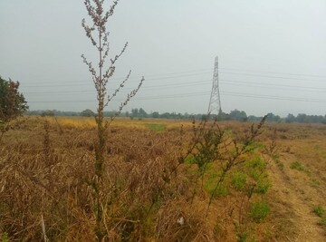 Plot Area in  Land at Jasai – for Sale