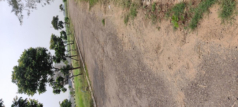 undefined, altus-prime  242 Sq.Yd. Plot In North Mullanpur Chandigarh 10050517