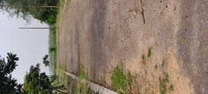 Plot Area in  Plot at Altus Prime, North Mullanpur – for Sale