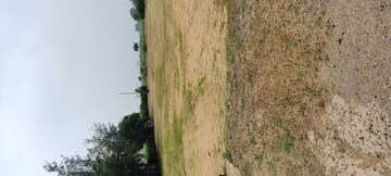  Plot For Sale in Altus Prime, North Mullanpur