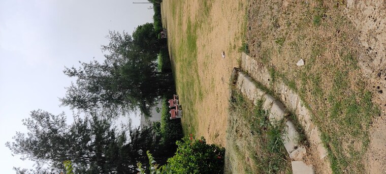 Garden, altus-prime  228 Sq.Yd. Plot In North Mullanpur Chandigarh 10050546