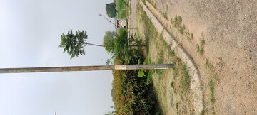 Plot – Exterior View View at Altus Prime, North Mullanpur - for Sale