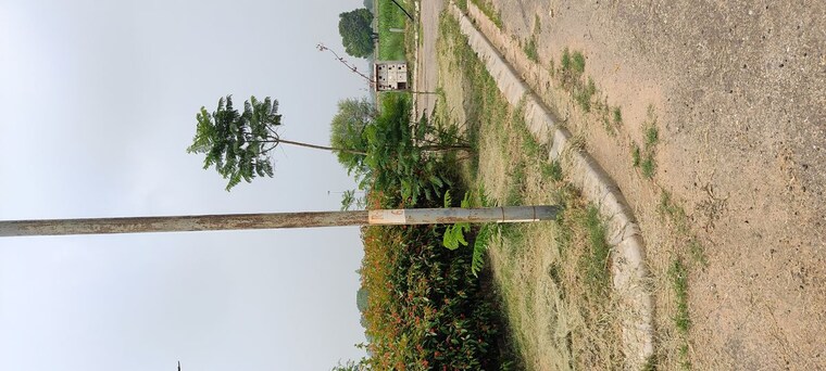 Exterior View, altus-prime  228 Sq.Yd. Plot In North Mullanpur Chandigarh 10050546
