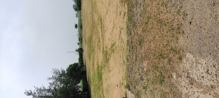 Garden, altus-prime  228 Sq.Yd. Plot In North Mullanpur Chandigarh 10050546