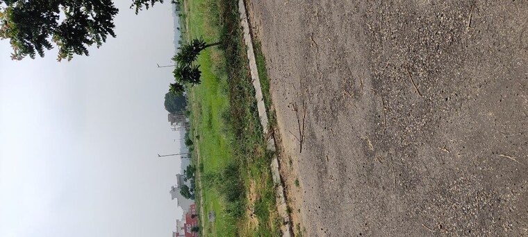 Garden, altus-prime  228 Sq.Yd. Plot In North Mullanpur Chandigarh 10050546