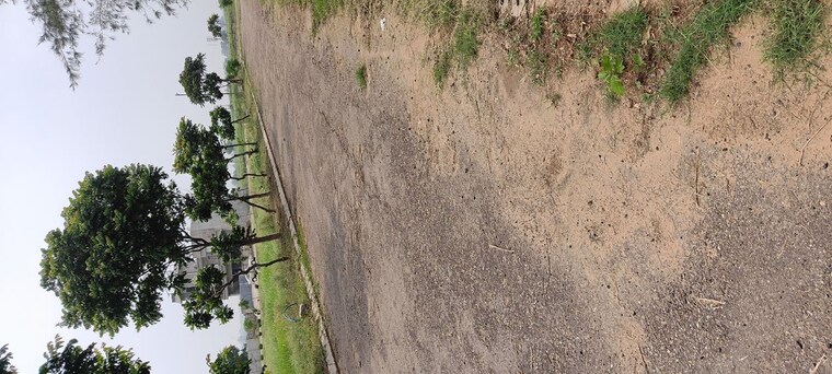 undefined, altus-prime  228 Sq.Yd. Plot In North Mullanpur Chandigarh 10050546