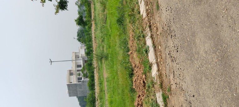 Garden, altus-prime  228 Sq.Yd. Plot In North Mullanpur Chandigarh 10050546
