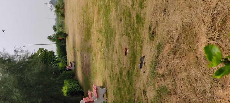 Garden, altus-prime  228 Sq.Yd. Plot In North Mullanpur Chandigarh 10050546