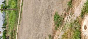 Plot Area in  Plot at Altus Prime, North Mullanpur – for Sale