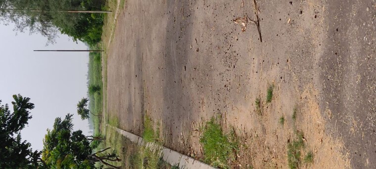 undefined, altus-prime  228 Sq.Yd. Plot In North Mullanpur Chandigarh 10050546