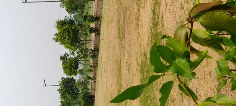 Garden, altus-prime  228 Sq.Yd. Plot In North Mullanpur Chandigarh 10050546