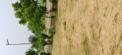 Plot For Sale in Altus Prime